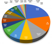 stats-races.png