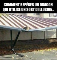dragon illusion.jpeg