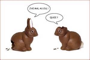 Lapins.JPG