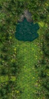 bm-jungle-bog.jpg