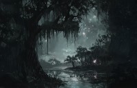 Marais_Nuit1.jpg
