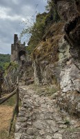 IMG_2985.jpg