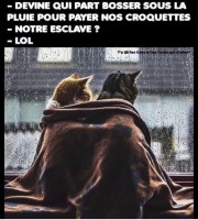 Deux.jpg
