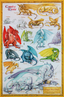 Dragon_Size_Chart.png