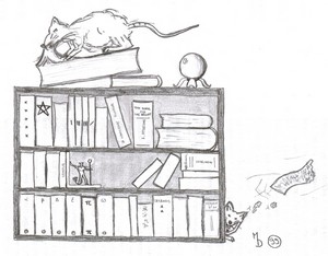 rat de bibliotheque.jpg