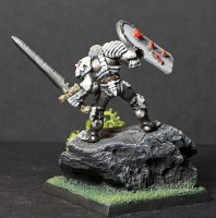Champ001.jpg