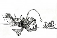 01 poisson.jpg