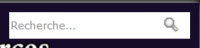 capture recherche.png