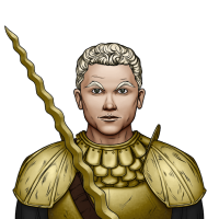 Mature Male White Paladin 90146.png