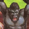 Avatar de l’utilisateur