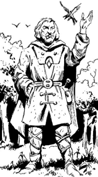 Druide des forêts